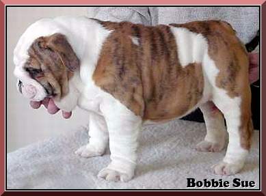 Bobbie Sue Photo 2