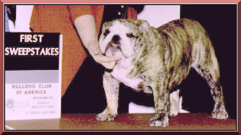 Comanche Photo 1