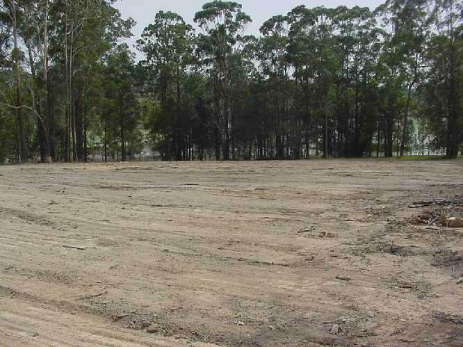 First job was to clear the land for construction of the B & B.