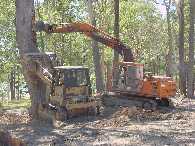 This tree took fours hours to fell. Bob & Graham finally prevailed.