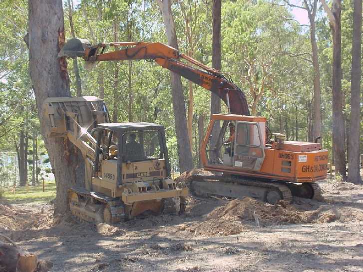 This tree took fours hours to fell. Bob & Graham finally prevailed.