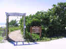 Butterfly Garden