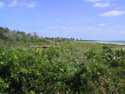 View from campsites