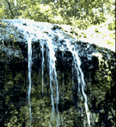 Falling Waters State Park