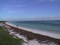 Sandspur Beach