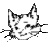 Lynx OK