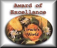 Award of Excellance from Gracie's World
