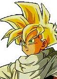 the super saiyan hairdo