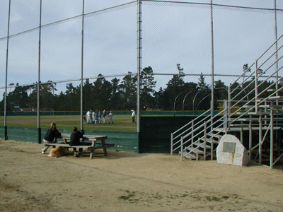 Baseball Field