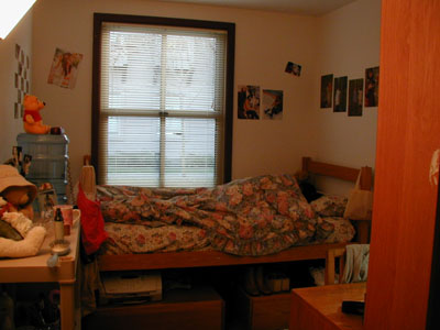 Dorm Room for a Girl