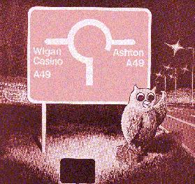 The Night Owl