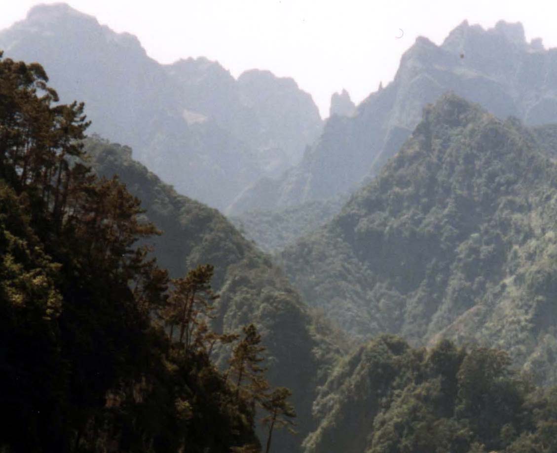 View of Madeira