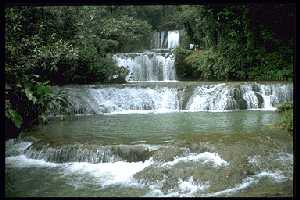 [Mayfield Jungle Falls]