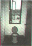 Nature Loo
