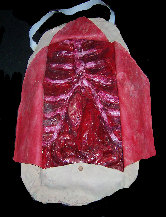 gorefx003002.jpg