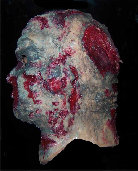 gorefx004002.jpg