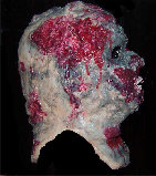 gorefx004003.jpg