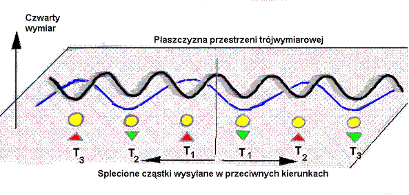Fala czterowymiarowa, a paradoks Einsteina-Rosena-Podolskiego