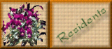 residents