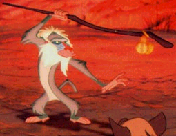 Arr, I tae kwan do monkey! HYA!