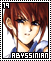 Abyssinian 19