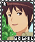 Brigade 16