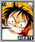 Pirate 11