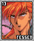 Tessen 13
