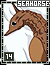 Seahorse 14
