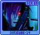 Dir en Grey [kr]cube 14