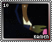 Kamen 10
