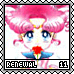 Renewal 11