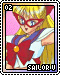 Sailor V - 02