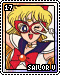 Sailor V - 17