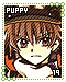 Puppy 19