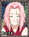Rose 08