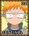 Sentinel 02