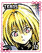 Trans 12