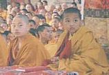 Kalu Rinpoche and Jamgon Rinpoche