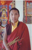 17th Karmapa (courtesy Karma Pema Wangmo)