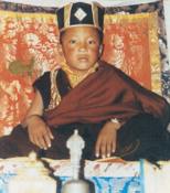 Young 17th Karmapa