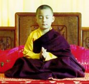 Ven. Kalu Rinpoche (Courtesy Karma Pema Wangmo)