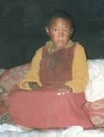 Young 17th Karmapa