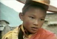 Young 17th Karmapa