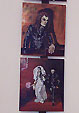 Mark's Portraits
