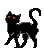 Here kitty kitty kitty
