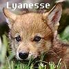 Lyanesse Pup Silver Mist