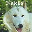 Naicila Amarante