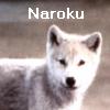 Naroku FyreWind-Amarante, Packmate Silver Mist