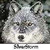 SilverStorm Amarante